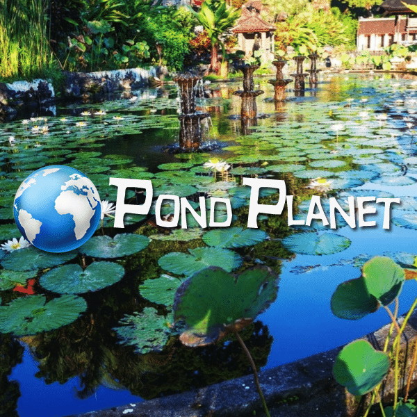 Pond Planet & Kickdynamic case study